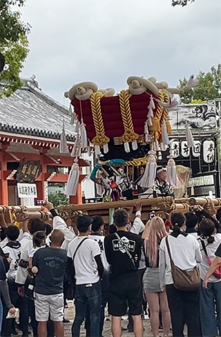 百舌鳥八幡宮 月見祭：子ども布団太鼓／梅町（2024年9月）