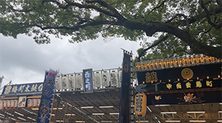 百舌鳥八幡宮 月見祭：宮入（2024年9月）