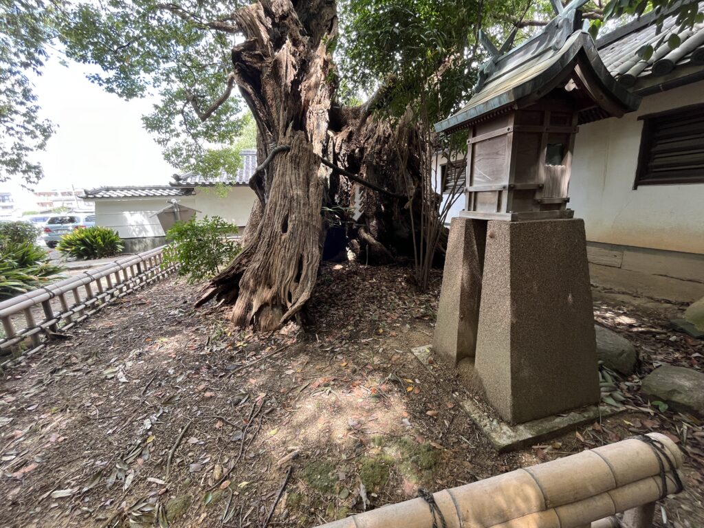 もずのくす　裏側