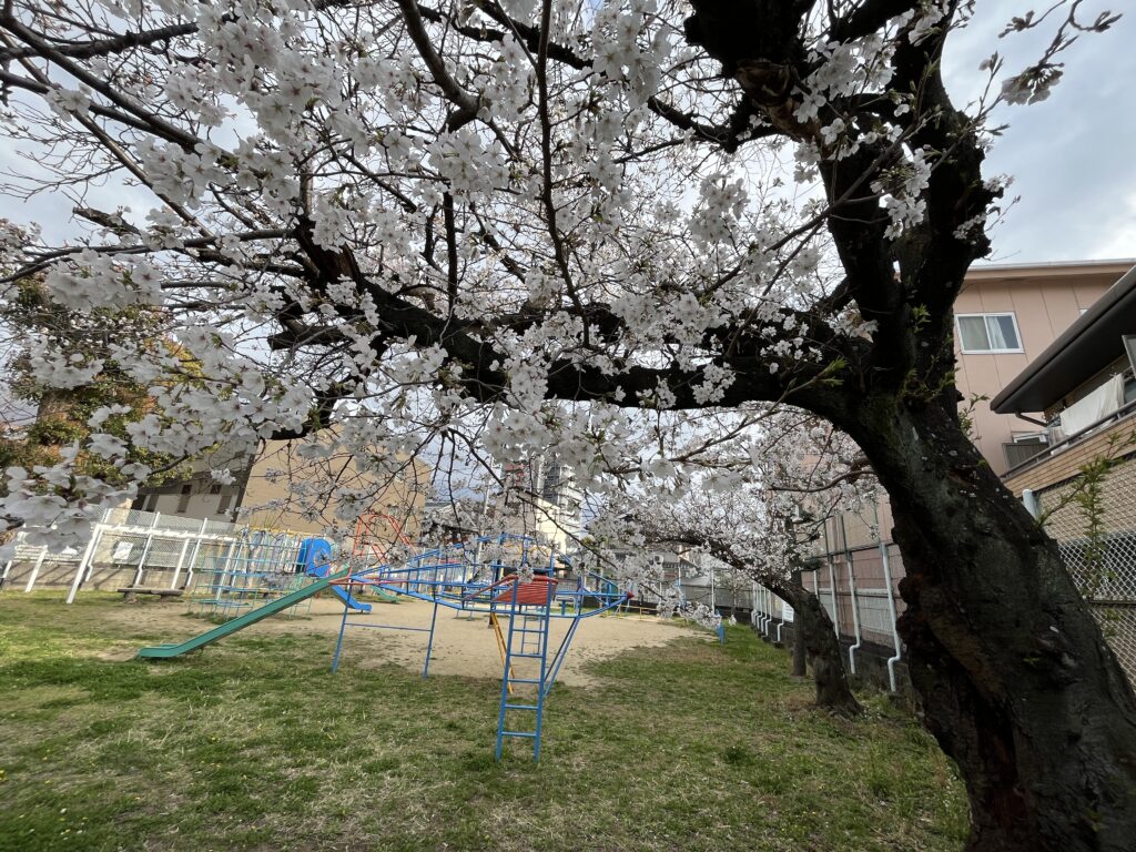 3月30日　5丁公園