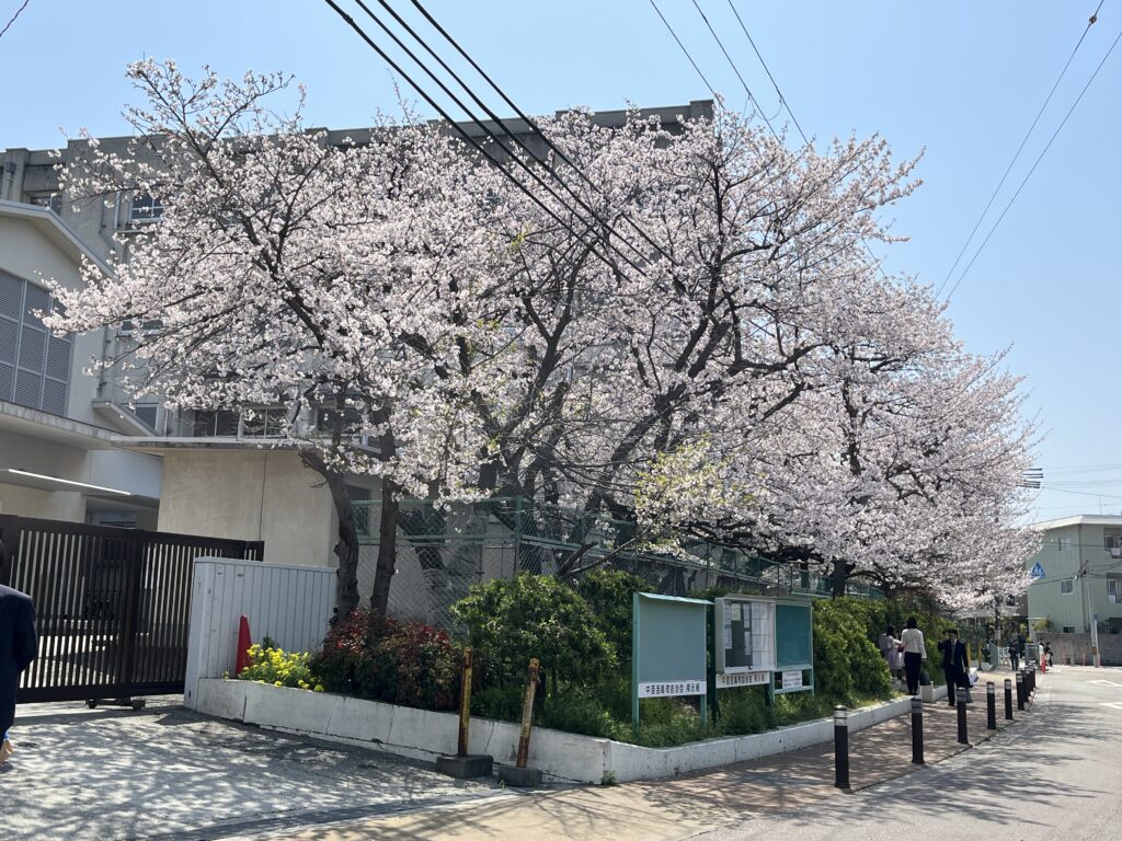 4/7　桜　小学校