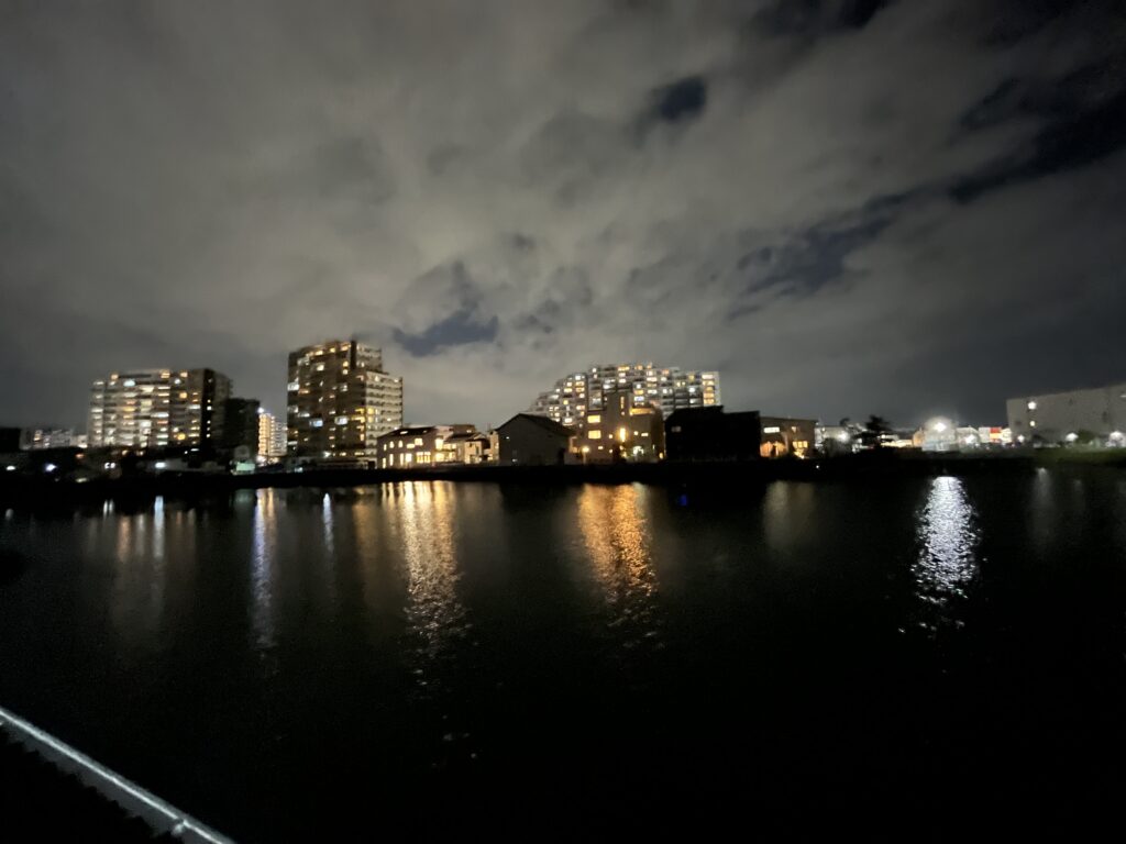 夜の信濃池　遠い