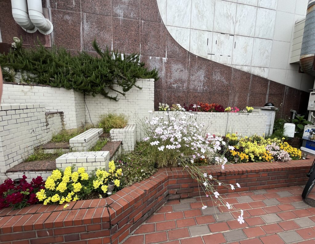 なかもず商店街フェス2025：花壇づくり：2025年4月の様子（2025年11月9日）