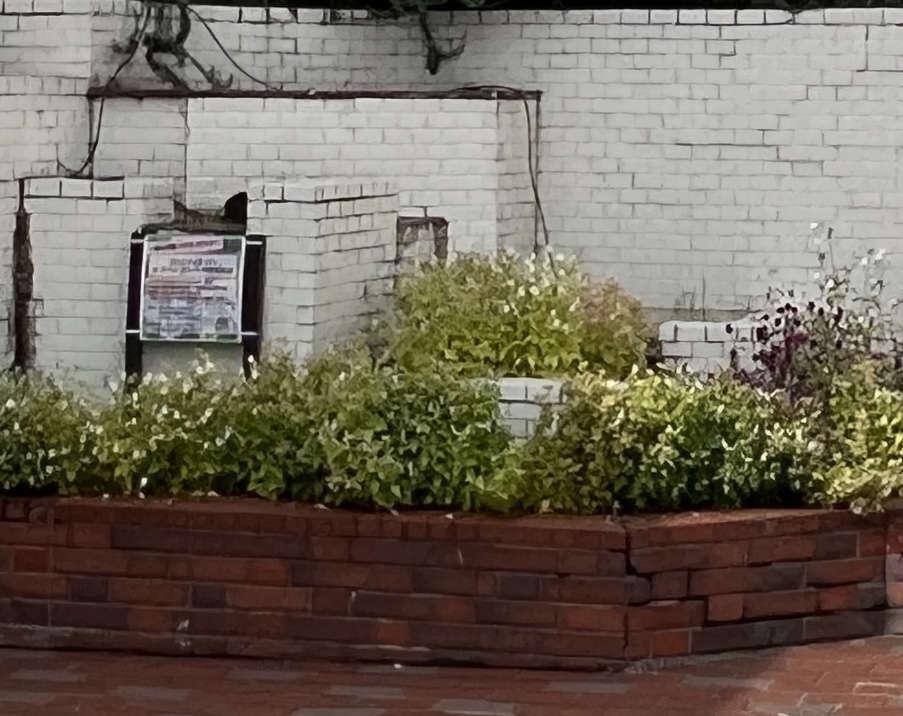 なかもず商店街フェス2025：花壇づくり（2025年11月9日）